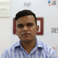 WordPress Developer - Parmendar Chand's story, professional experience and links.