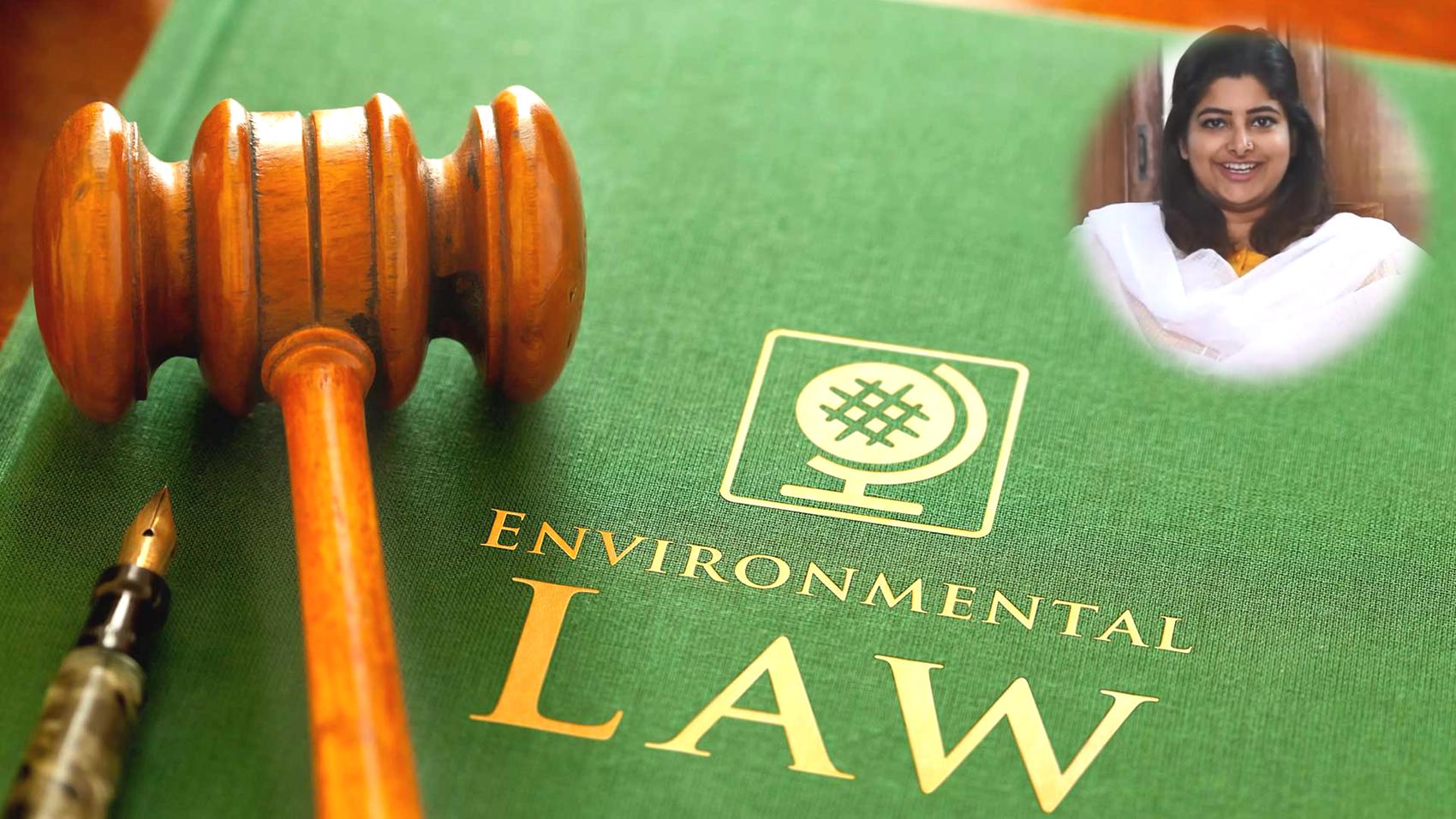 Career in Environmental Law