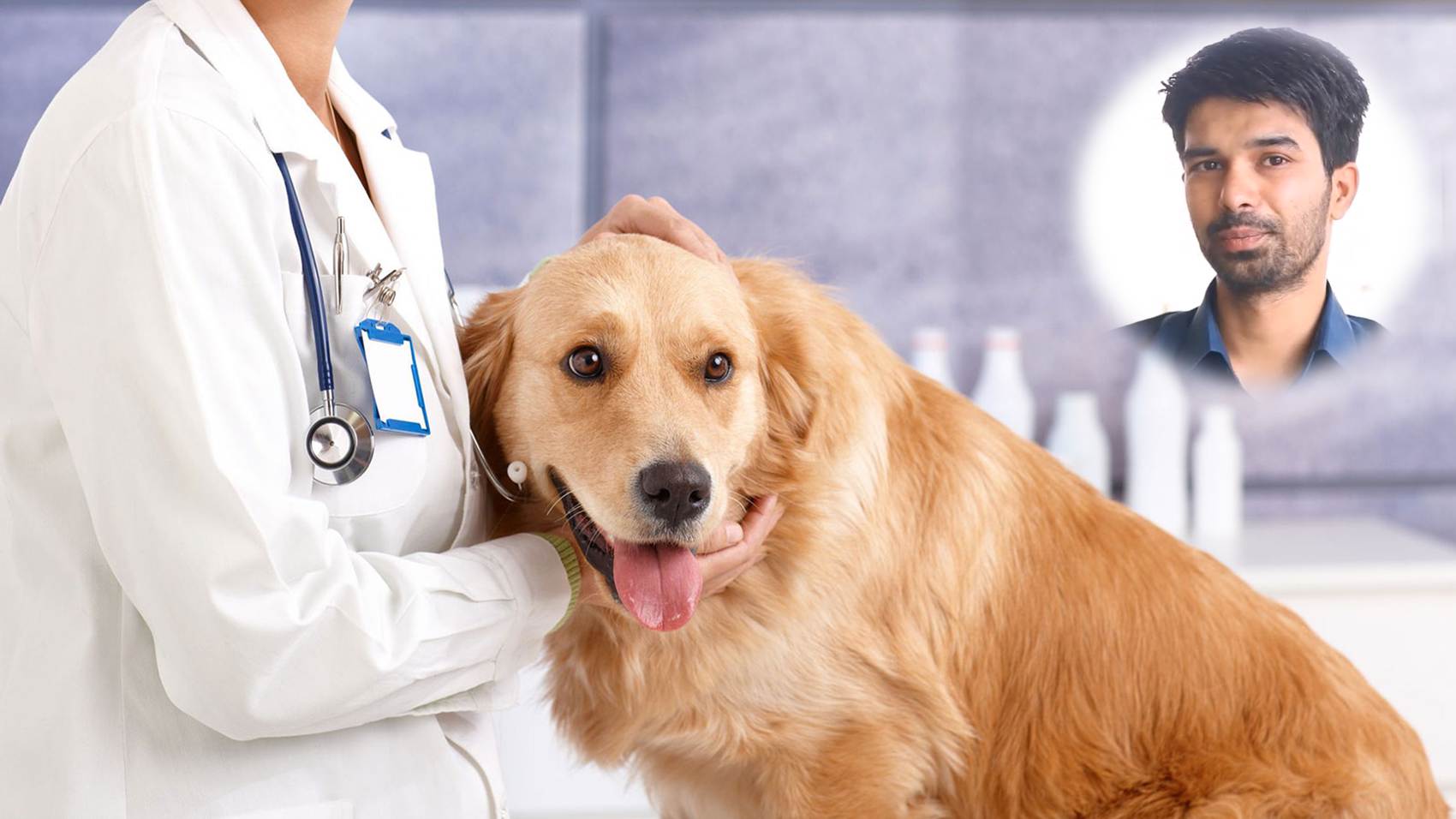 Career in Veterinary Medicine