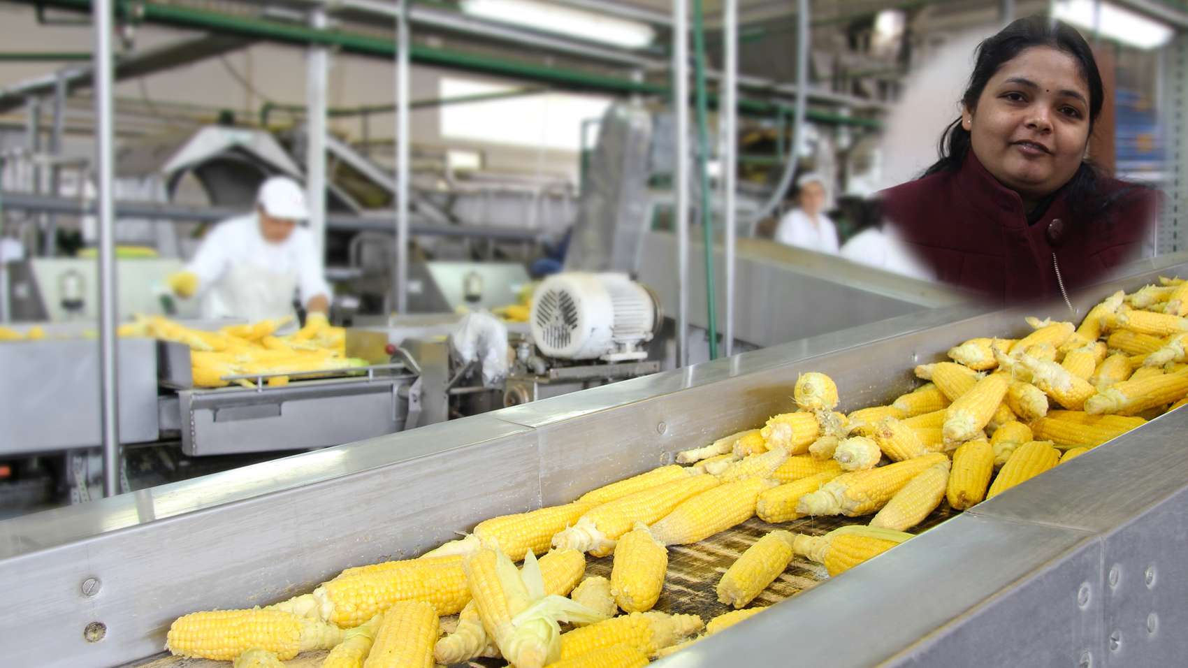 Career in Food Processing